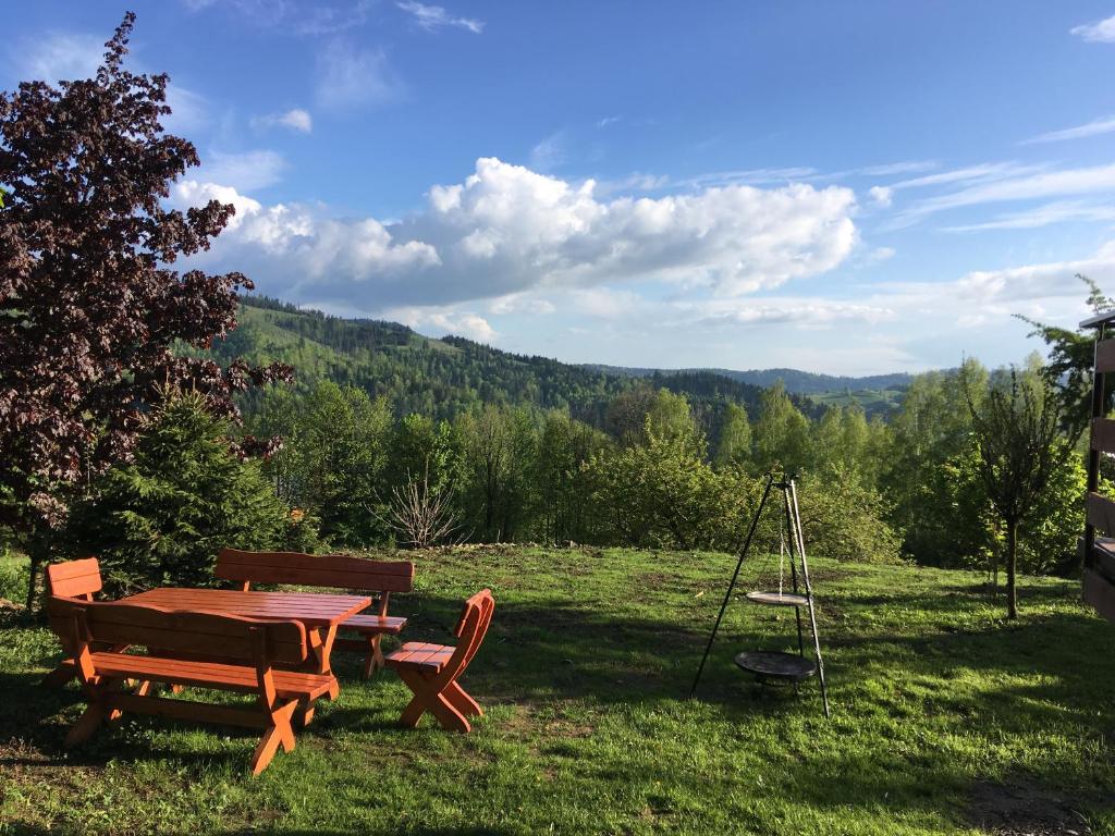 Dom przy lesie Wisła