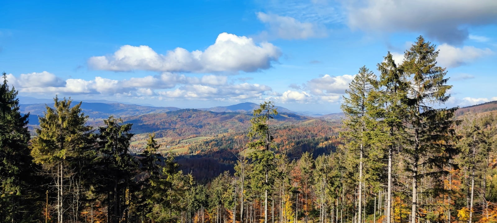 Dom przy lesie Wisła